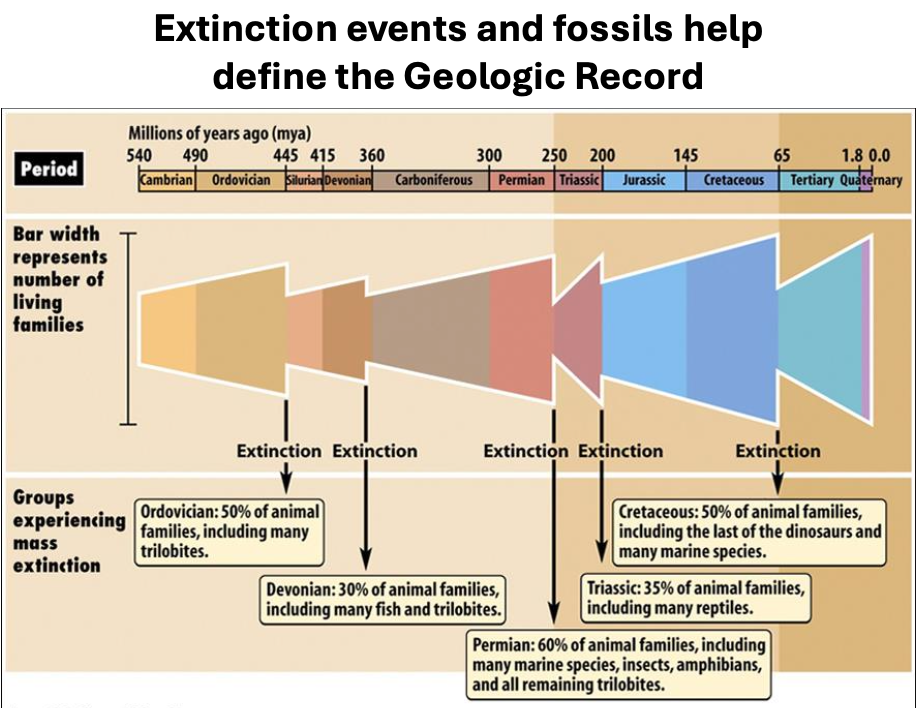 2025-10-06_15-19-09.png|300