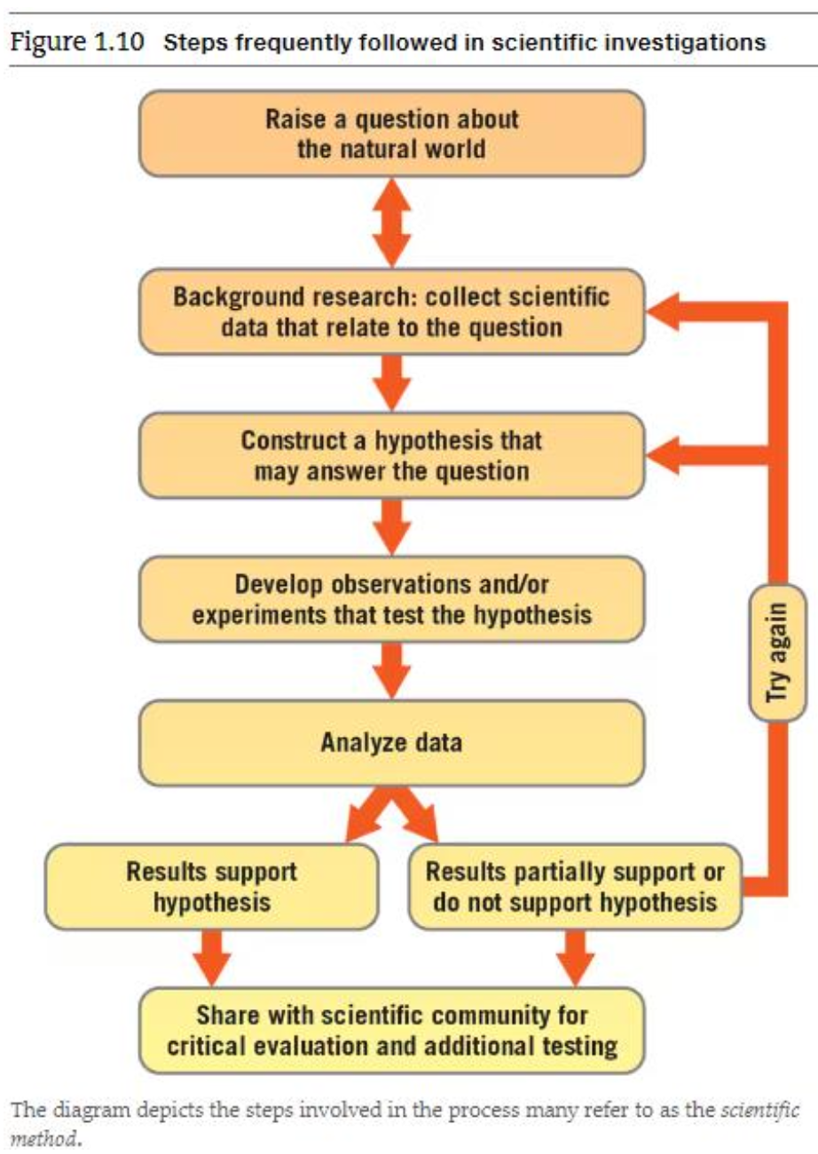 Pasted image 20250827150654.png|300