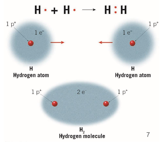 Pasted image 20250908145706.png|250