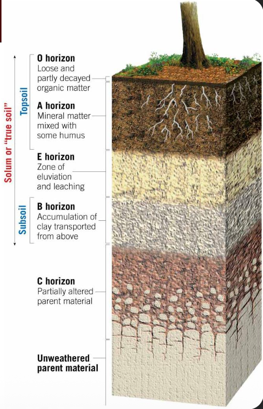 Pasted image 20250926153937.png|250