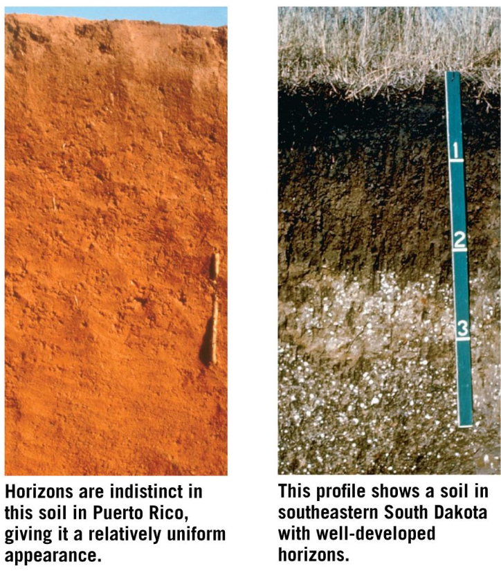 Pasted image 20250926154149.png|150