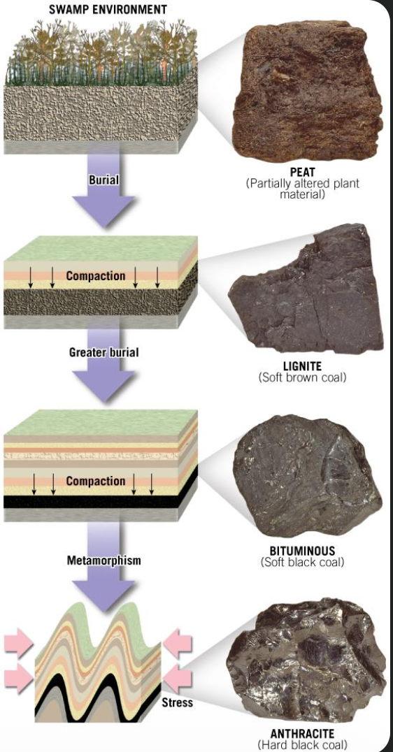 Pasted image 20250929154433.png|225