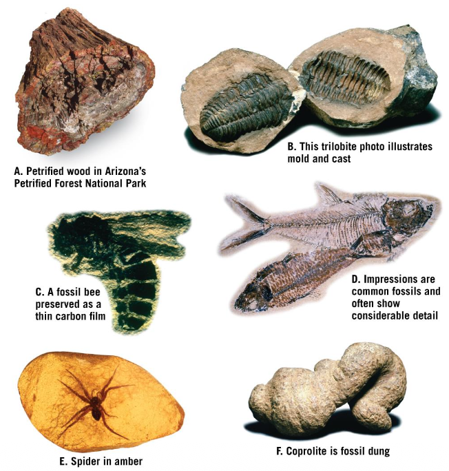 Pasted image 20251006152338.png|325