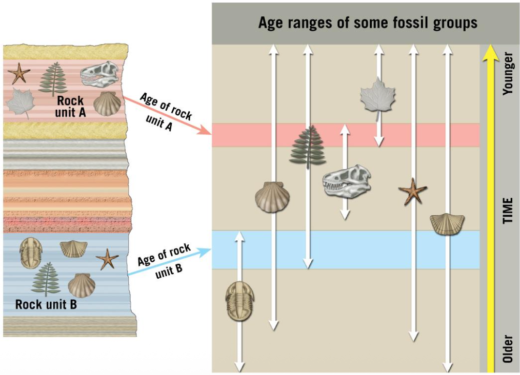 Pasted image 20251006153212.png|400