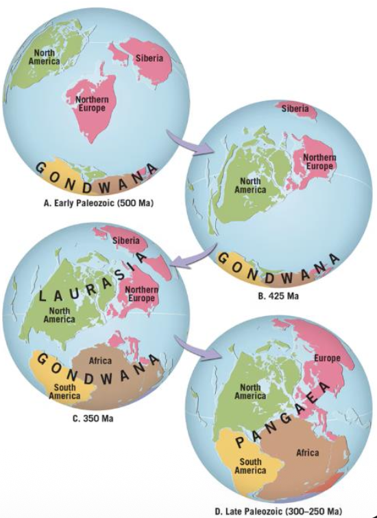 Pasted image 20251008153811.png|250