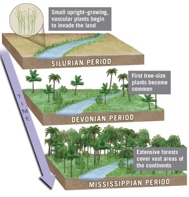 Pasted image 20251010151351.png|200