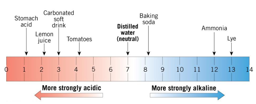 Pasted image 20251201153624.png|400