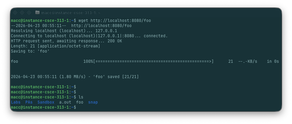 foo fetch.png