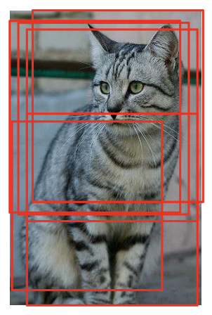 00 - TAMU Brain/6th Semester (Spring 26)/CSCE-421/Ex2/Visual Aids/image-4.png100