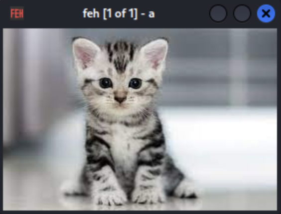 Pasted image 20260218213352.png|200