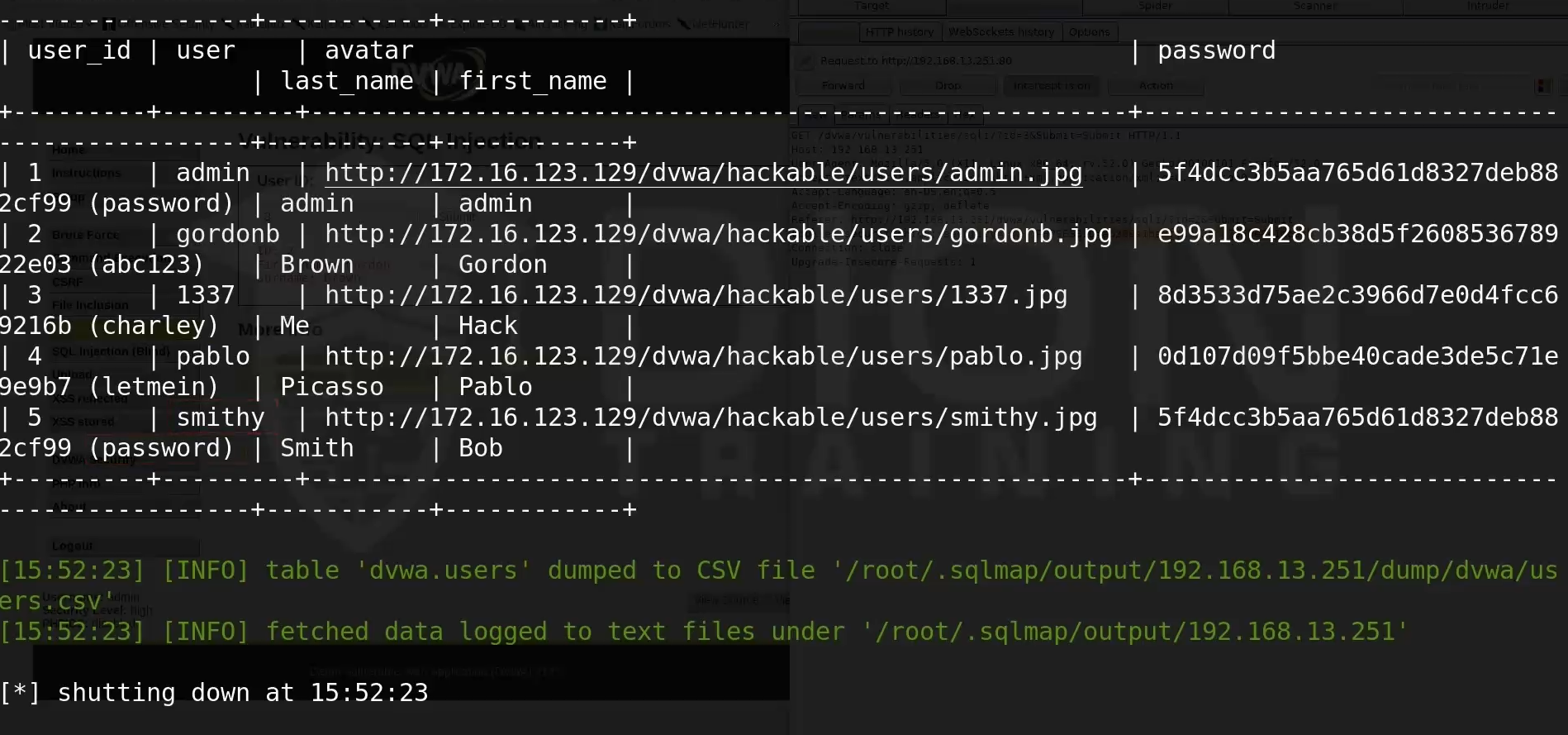 Pasted image 20250713232023.png|550