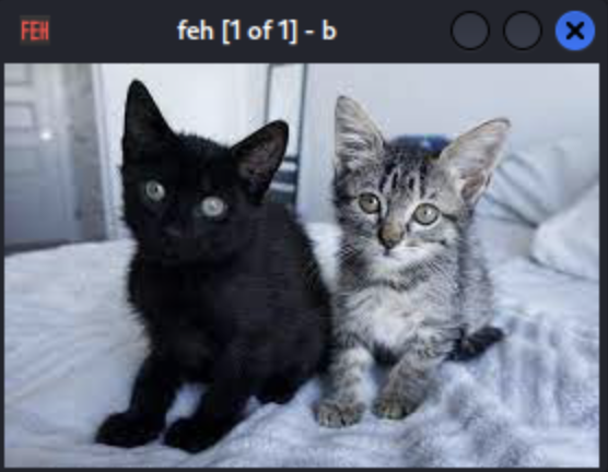 Pasted image 20260213095956.png|200